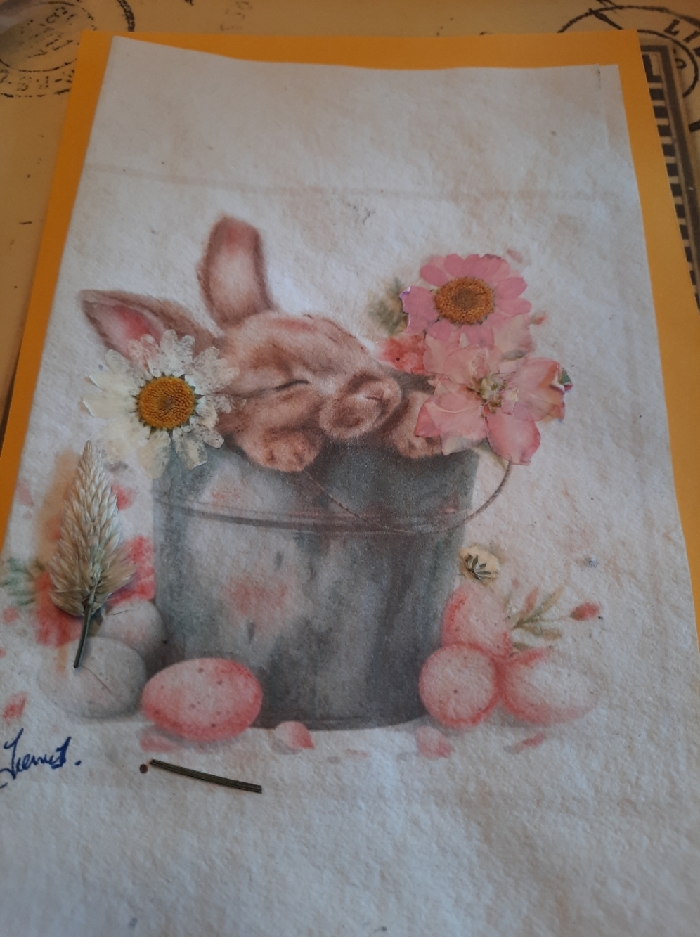 3 For 30$ -Dried Flowers and Dried Seeds- Can Plant this Card